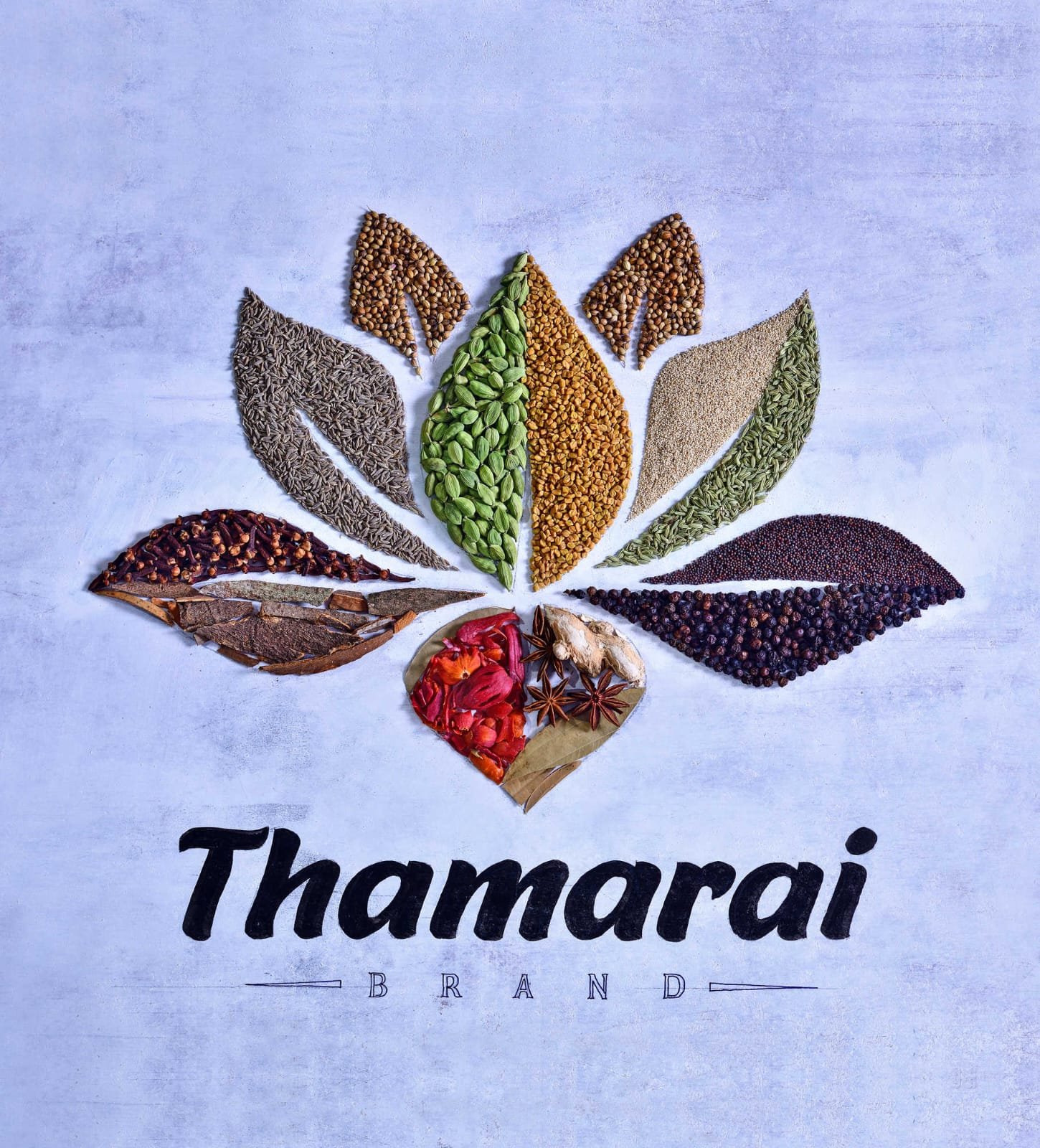 WhatsApp Image 2026-02-21 at 11.35.20 AM